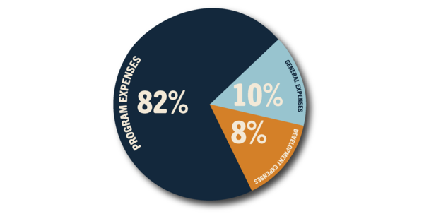 Pie chart of expenses